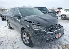 5XYRGDLC2NG144506: 44301843