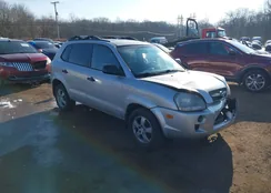 KM8JM12B86U432345: 44301943