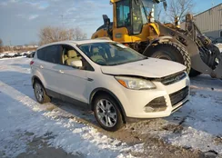 1FMCU0HX1DUB80215: 44303258