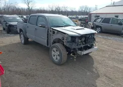 3TMLU4EN4FM204268: 44303464