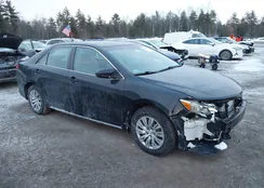 4T1BF1FK9EU432748: 44303497