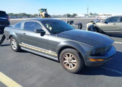 1ZVHT80N885162474: 44303553