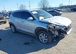 KM8J3CA47KU858636: 44303562