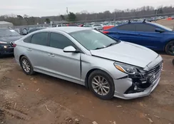 5NPE24AF8KH795380: 44302801