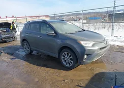 JTMDJREV0GD016483: 44304079