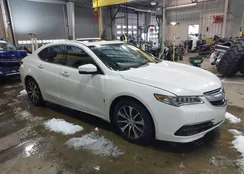 19UUB1F55FA015845: 44304291