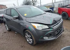 1FMCU0HX8DUB98968: 44304312