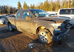 1FTEX1EPXGFA65846: 44303681