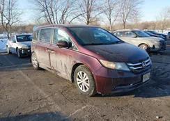 5FNRL5H62EB047480: 44303781