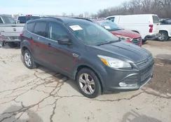 1FMCU9G90FUA49965: 44303907