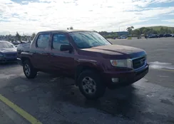 5FPYK16259B102914: 44305130