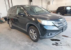 5J6RM4H59DL053281: 44305519