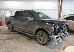 1FTEW1EPXKFD31474: 44306243