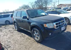 1FMCU0D73AKB29103: 44306475