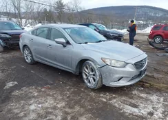 JM1GJ1T62F1168114: 44306550