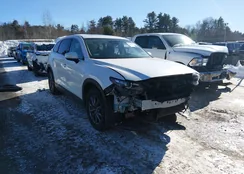 JM3TCBCYXL0413265: 44305826