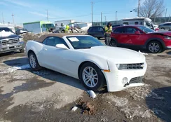 2G1FB3D3XD9233561: 44305843