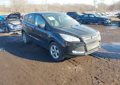 1FMCU9GX1GUA00936: 44307191