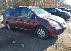 5FNRL38758B055123: 44306785