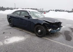 2C3CDXKGXMH554074: 44306826