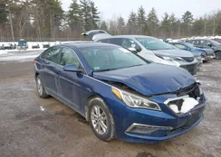 5NPE24AF9FH175174: 44306972