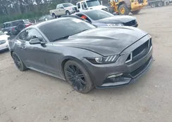 1FA6P8TH2F5329046: 44307003