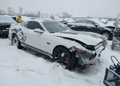 1FA6P8CF3F5321049: 44308073