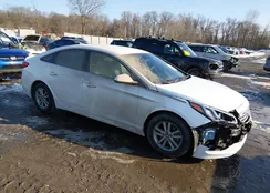 5NPE24AF7GH367629: 44308137