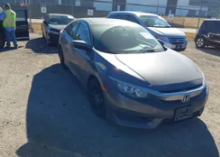 19XFC2F53HE057439: 44308337