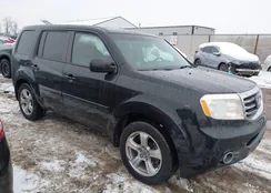 5FNYF4H52DB025241: 44307769