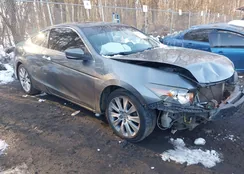 1HGCS2B85AA006296: 44309036