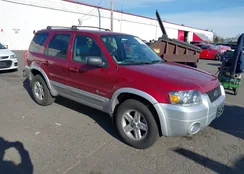 1FMCU96H45KB86703: 44309313