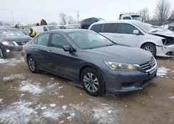 1HGCR2F36DA165049: 44309515