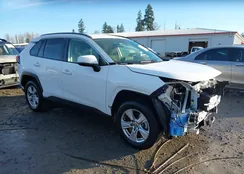 JTMP1RFV3LD049712: 44310347