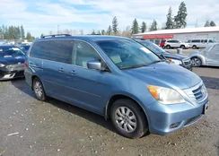 5FNRL38478B020895: 44310520