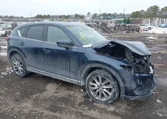 JM3KFBDM7K0551603: 44309791