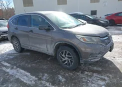 5J6RM4H49GL025461: 44309828