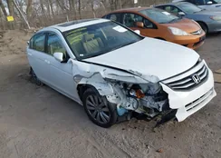 1HGCP2F89CA223087: 44309888