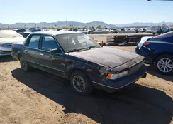 1G4AG55M0S6498804: 44309927