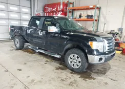 1FTPW14V49FB35484: 44309957