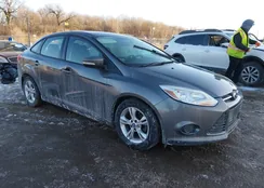 1FADP3F29DL360367: 44311173