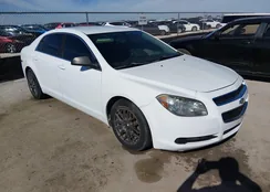 1G1ZB5E09CF150917: 44311186