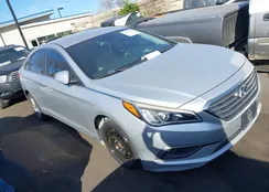 5NPE24AF7GH301243: 44311232