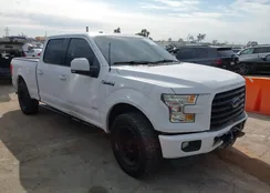 1FTEW1CP7FKD81278: 44310772