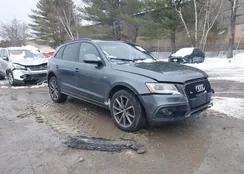 WA1D7AFP8GA136348: 44312144