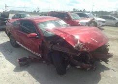 1ZVBP8AM9D5204760: 44312202