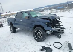 1FTFW1EF7EFA09214: 44312233