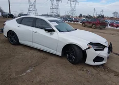 19UUB5F44MA005478: 44312253