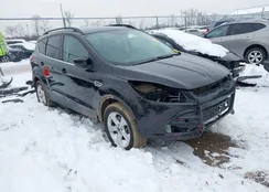 1FMCU9G90GUC23129: 44312401