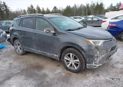 JTMRFREV4GD195876: 44312447